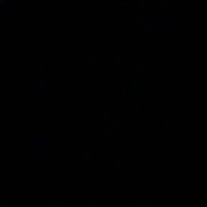 Meet your Posher, Alexander